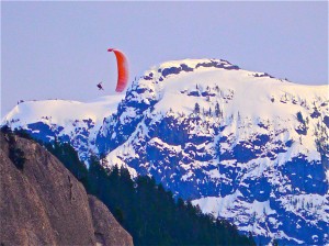 Paraglide from the Chief 