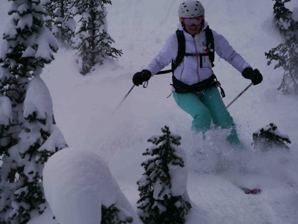 Altus Mountian Guides Backcountry Skiing copy