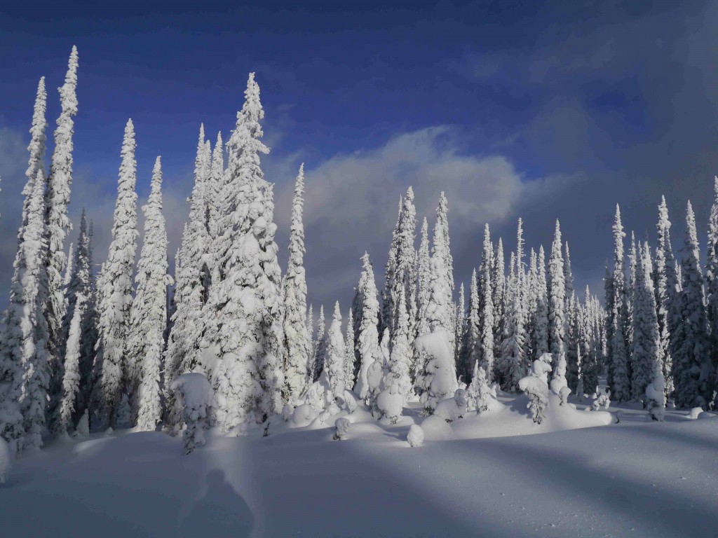 Whistler Backcountry Skiing Dec 2013 copy