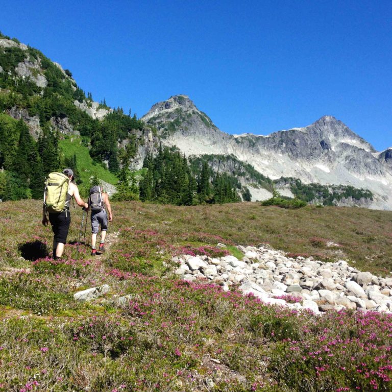 Mount Tricouni meadow approach