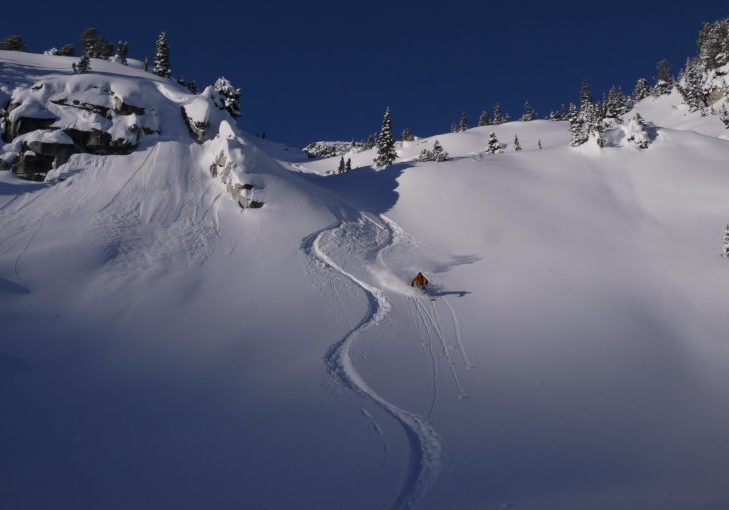 Backcountry Ski Touring Whistler